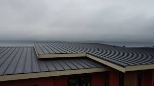 Fast & Reliable Emergency Roof Repairs in Diboll, TX